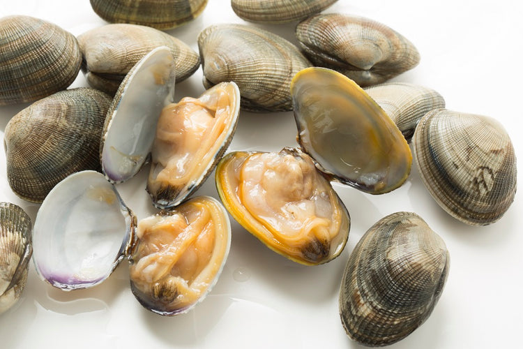 Clams - 1lb pack